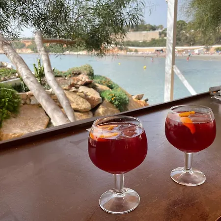 Atico Strandpromenaden 公寓 托雷维耶哈